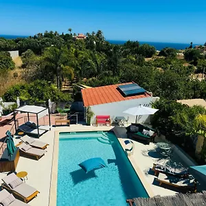 Palm View Guesthouse, Adults Only Frühstückspension